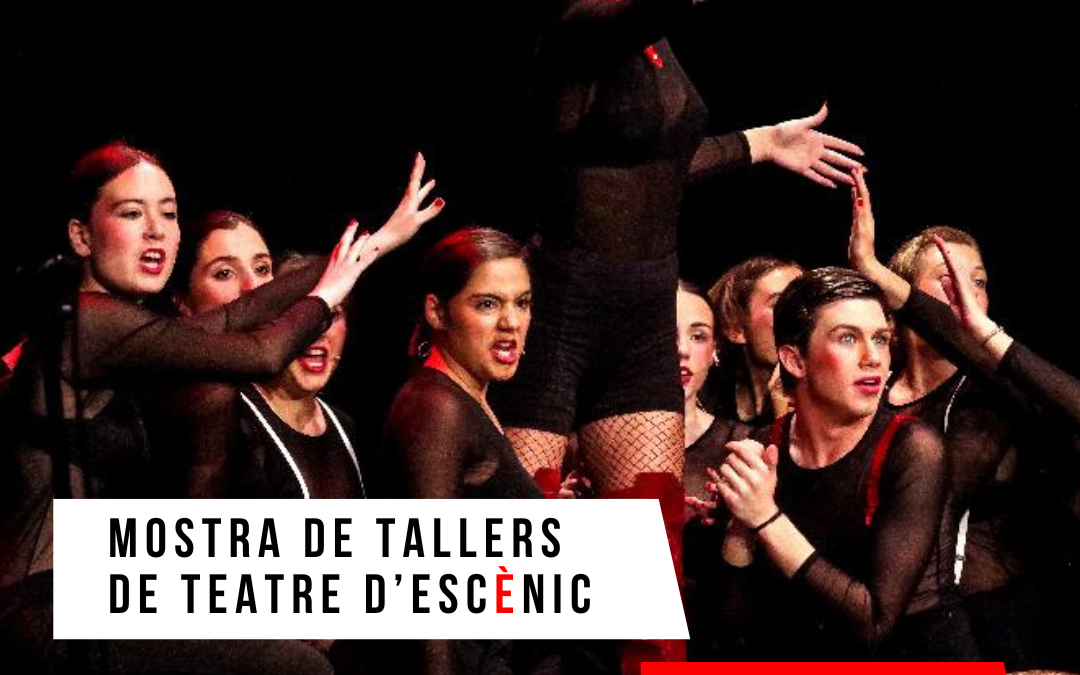 MOSTRA TALLERS JUNY 2025